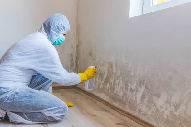 Best Certified Mold Removal  in Lusk, WY